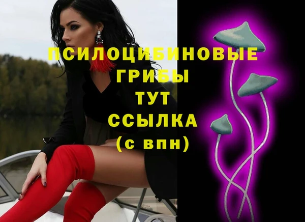 гидропоника Белоозёрский