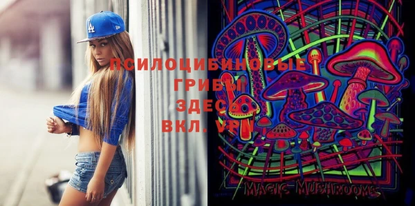 гидропоника Белоозёрский