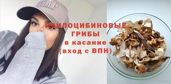 гидропоника Белоозёрский