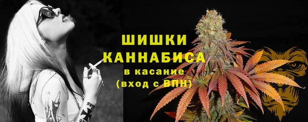 стафф Белокуриха