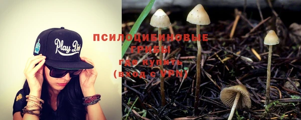 гидропоника Белоозёрский