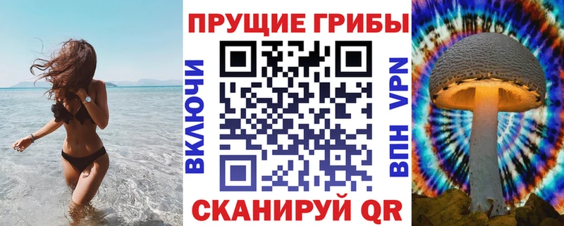 гидра ссылки  Кузнецк  Псилоцибиновые грибы Magic Shrooms 